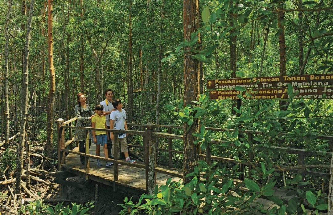 Thrilling Outdoor Adventures in Johor Bahru
