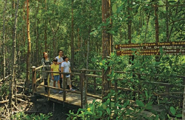Thrilling Outdoor Adventures in Johor Bahru